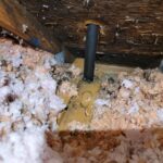 Attic mold and organic growth from a leaking wastewater air vent